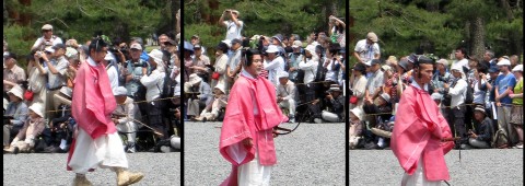 Aoi Matsuri