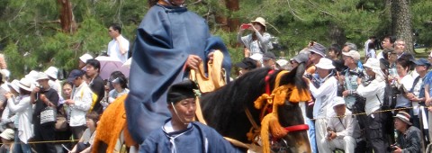Aoi Matsuri