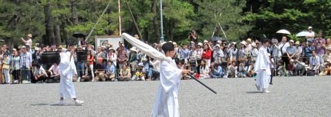 Aoi Matsuri