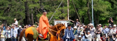 Aoi Matsuri