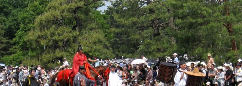 Aoi Matsuri