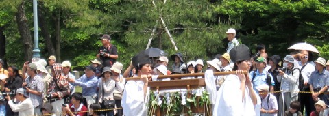 Aoi Matsuri