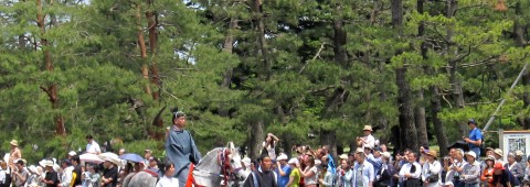 Aoi Matsuri