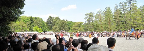 Aoi Matsuri