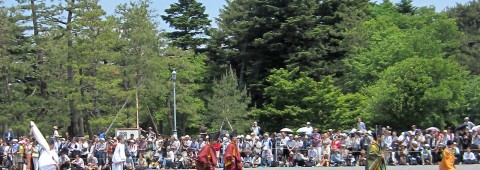 Aoi Matsuri