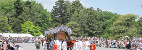 Aoi Matsuri