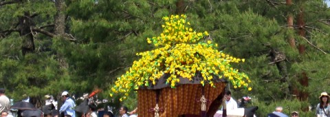 Aoi Matsuri