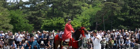 Aoi Matsuri