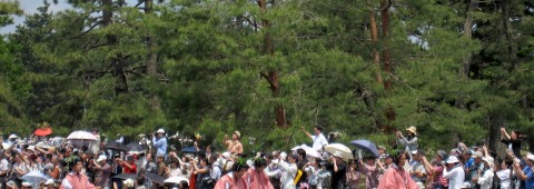 Aoi Matsuri