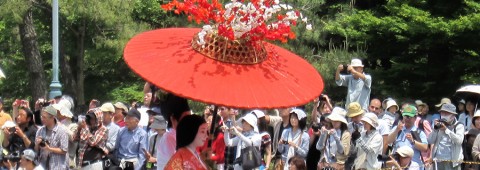 Aoi Matsuri