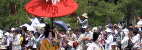 Aoi Matsuri