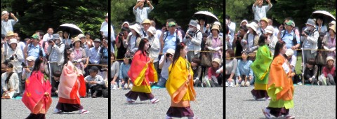 Aoi Matsuri