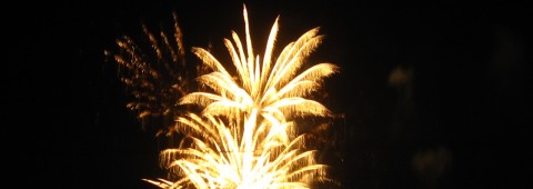 Svårt att få till bra bilder på fyrverkerier, men visst var denna lite rolig? Ser ut som en gyllene palm!